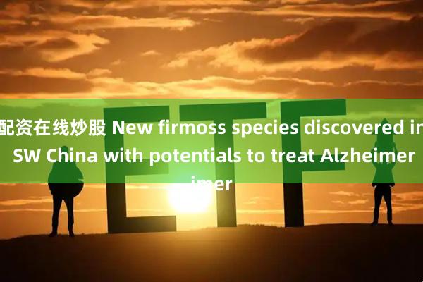 配资在线炒股 New firmoss species discovered in SW China with potentials to treat Alzheimer