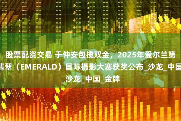 股票配资交易 于仲安包揽双金，2025年爱尔兰第12届翡翠（EMERALD）国际摄影大赛获奖公布_沙龙_中国_金牌
