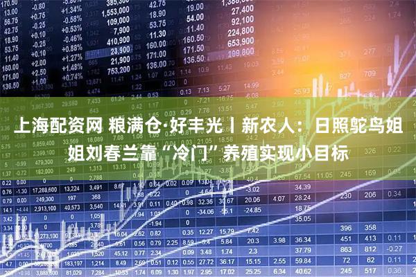 上海配资网 粮满仓·好丰光丨新农人：日照鸵鸟姐姐刘春兰靠“冷门”养殖实现小目标