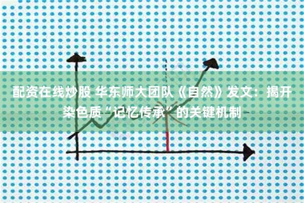 配资在线炒股 华东师大团队《自然》发文：揭开染色质“记忆传承”的关键机制