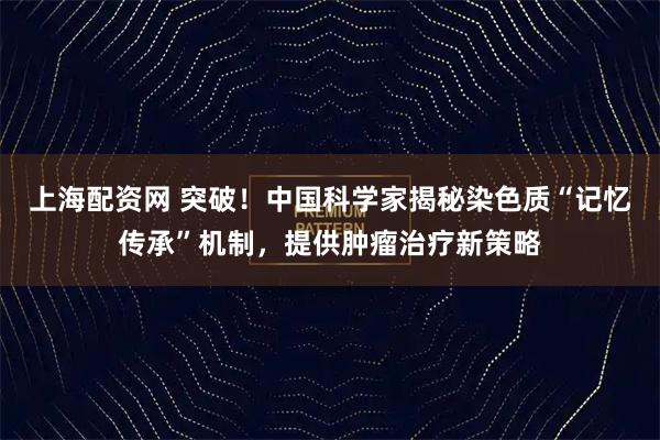 上海配资网 突破！中国科学家揭秘染色质“记忆传承”机制，提供肿瘤治疗新策略